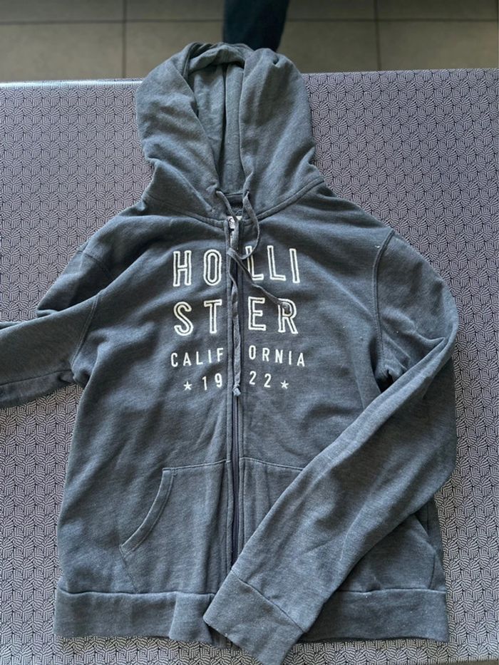Gillet holister