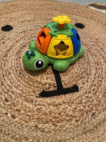 Tortue tourni formes