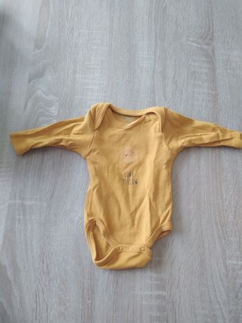 Body