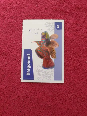 Carte nos amies les bêtes