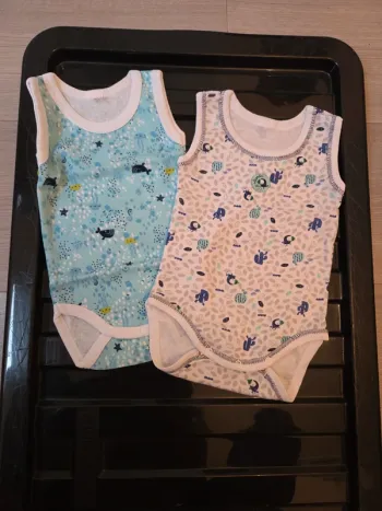 Lot 2 bodys été 3 mois