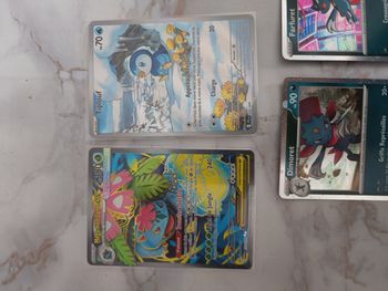 Méga florizarre et tiplouf pokémon