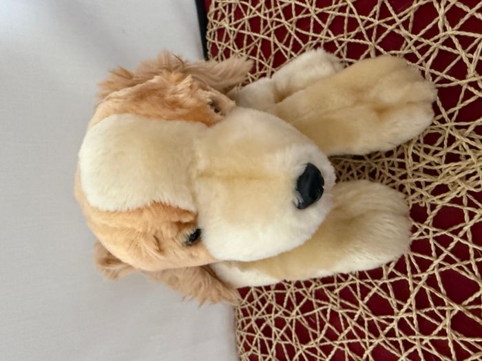 doudou chien - photo numéro 2