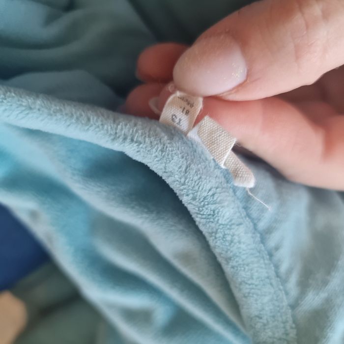 Gigoteuse bleue - photo numéro 3