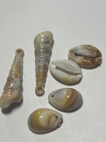 A803, Ensemble de coquillages acryliques marbrés