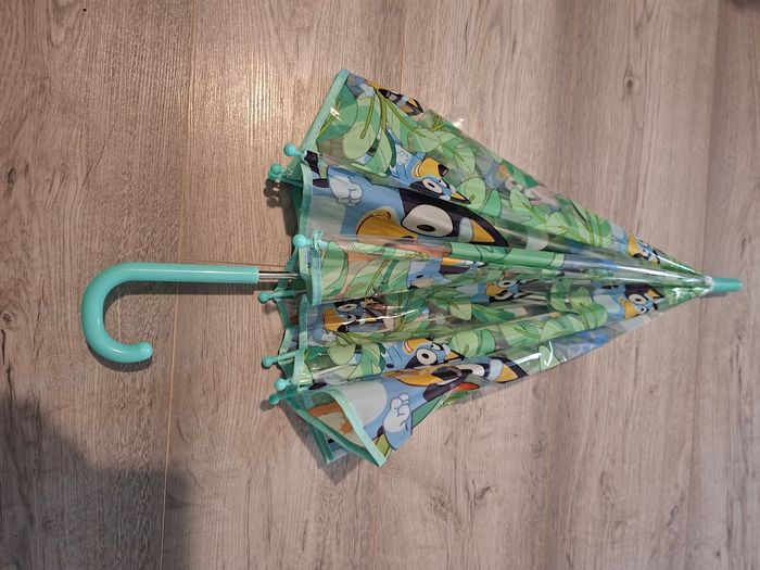 Para bluey - photo numéro 8