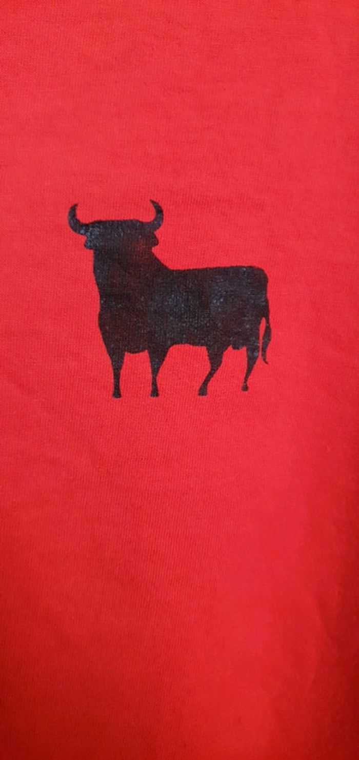 Tee-shirt Taureau Espagnol - photo numéro 4