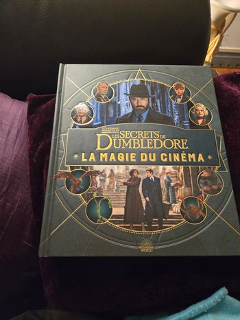 Les secrets de Dumbledore