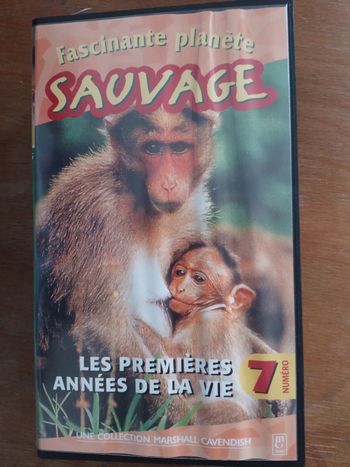 K7vhs collection les sauvages n7
