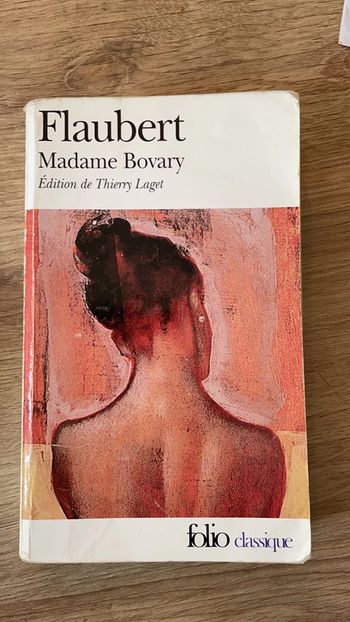 Livre Gustave Flaibert Madame