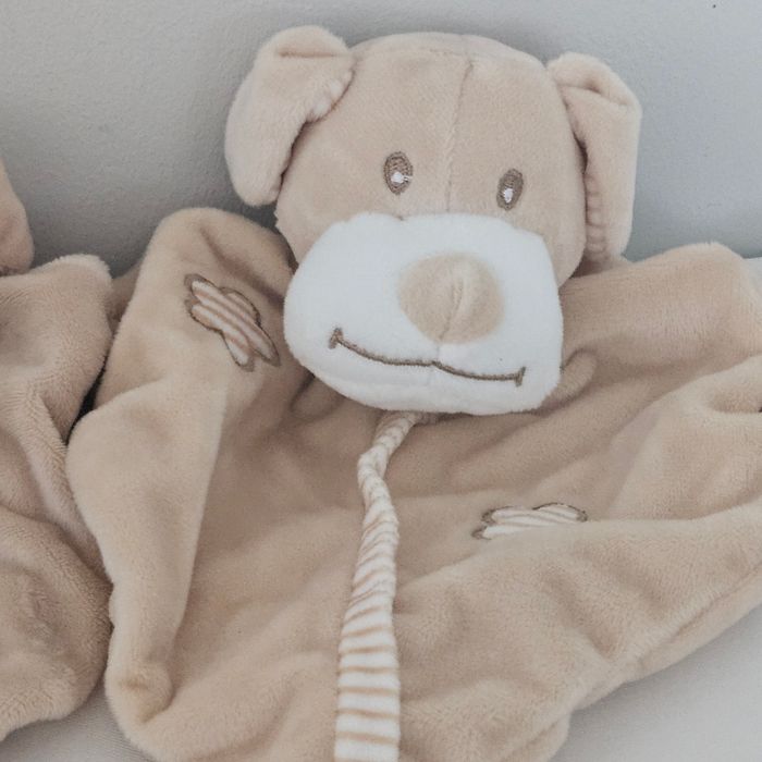 Doudou chien - photo numéro 3