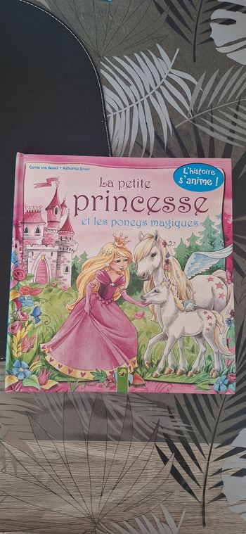 Livre la petite princesse et les poneys magique