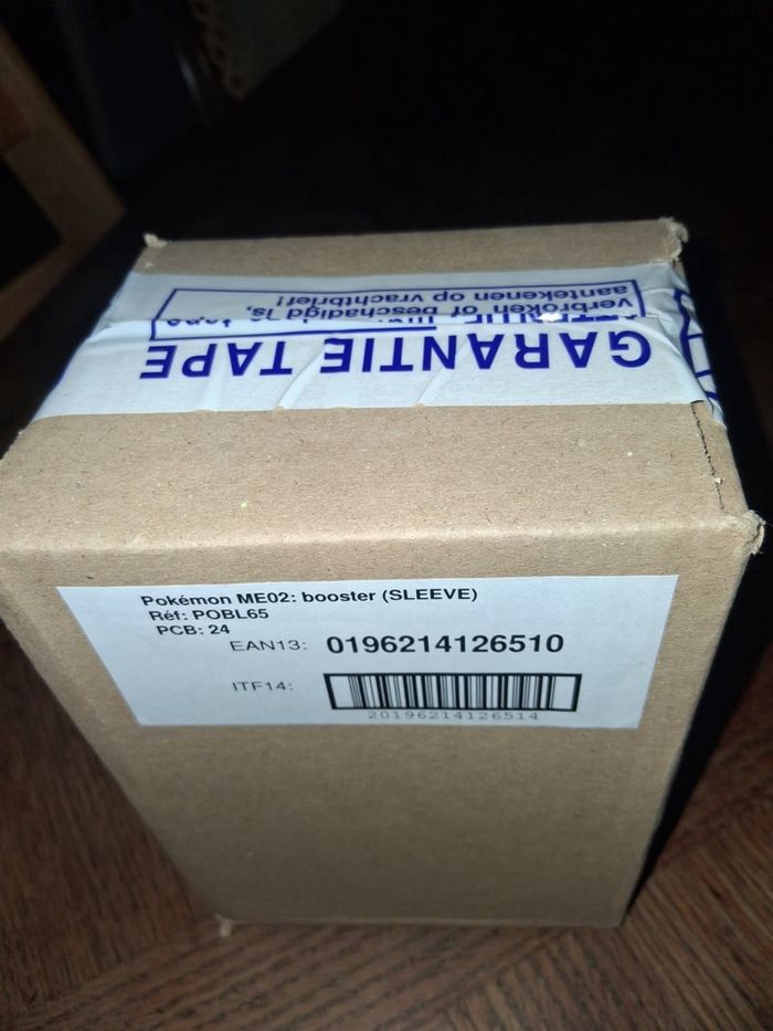 Case scellée Pokémon MEGA 2 FR - photo numéro 3