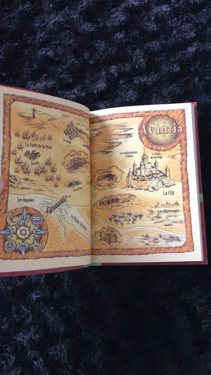 livre Beast quest le chaudron magique - photo numéro 4