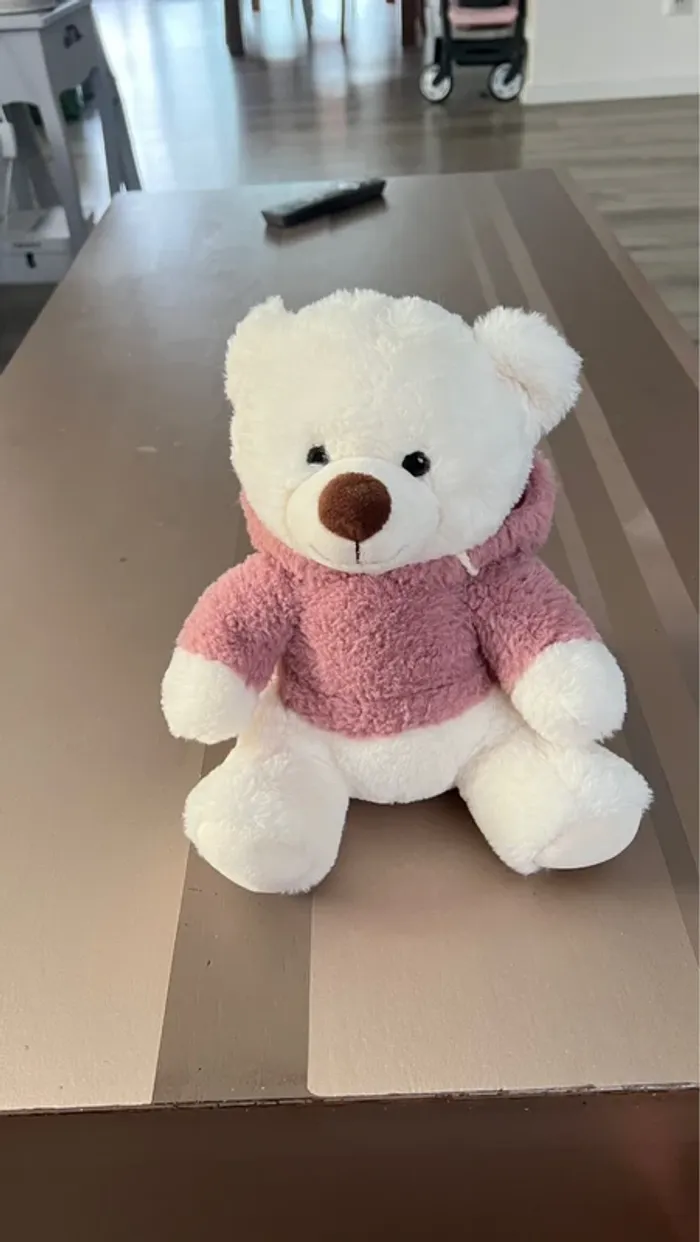 Nounours à capuche - photo numéro 2