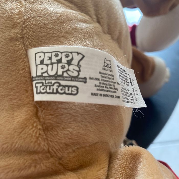 Chien avec sa laisse à promener les toutous - photo numéro 4