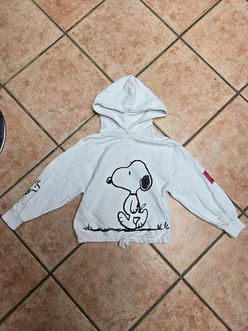 Pull court Snoopy