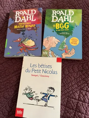 Lot livres enfant