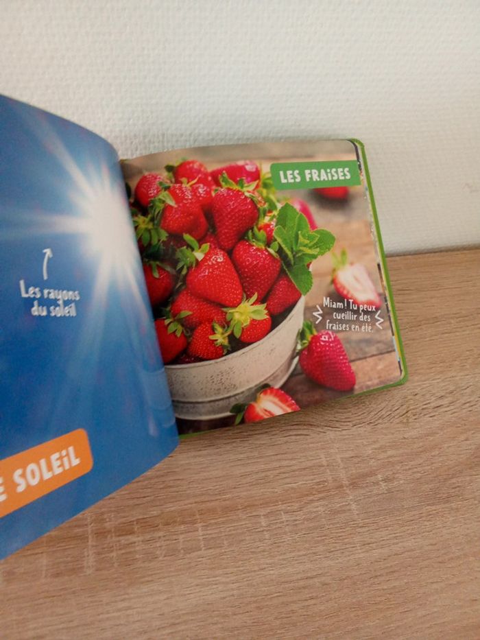 Livre neuf pour bébé. Doc photos. Les saisons - photo numéro 7