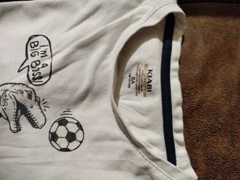 Pull Dino long manches 