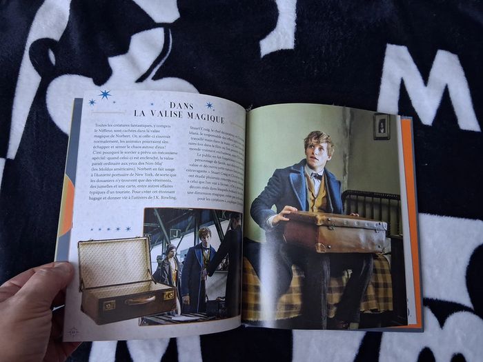 Livre Le Nifleur - photo numéro 3