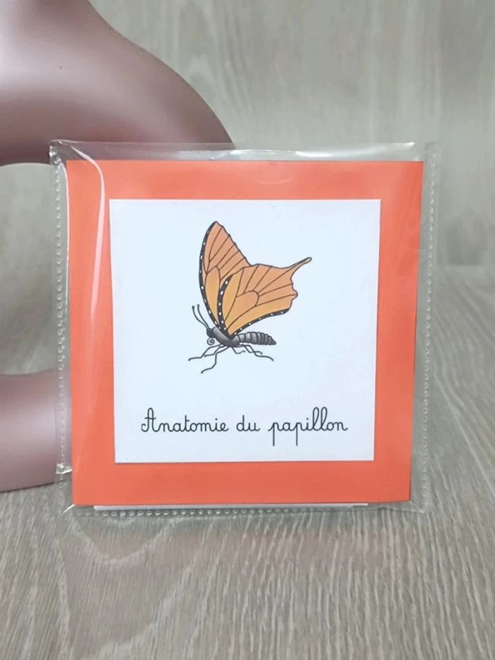 Cartes de nomenclature du papillon - photo numéro 3