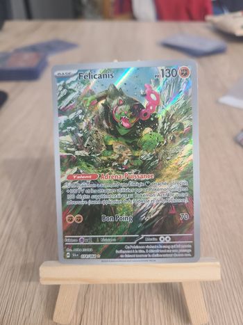 Félicanis ar 074/064 fable nébuleuse