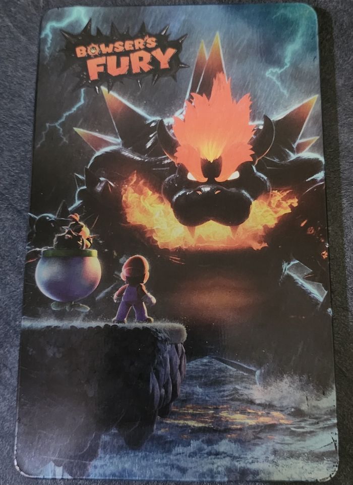 Super Mario 3D World – Steelbook (Switch) - photo numéro 2
