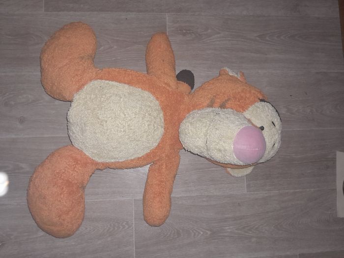 Tigrou - photo numéro 2