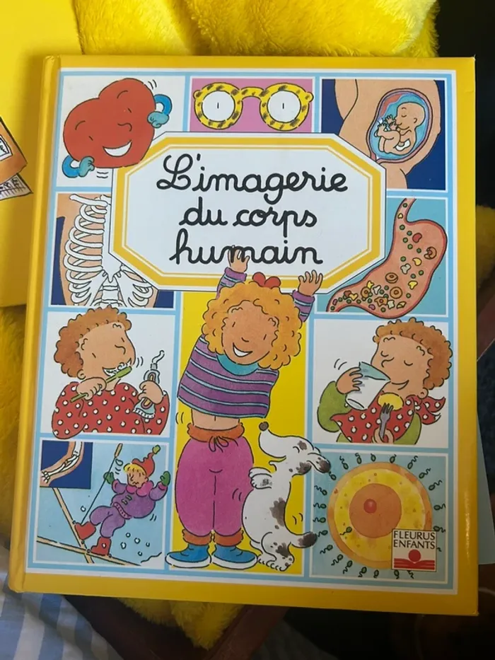 L imagerie du corps humain