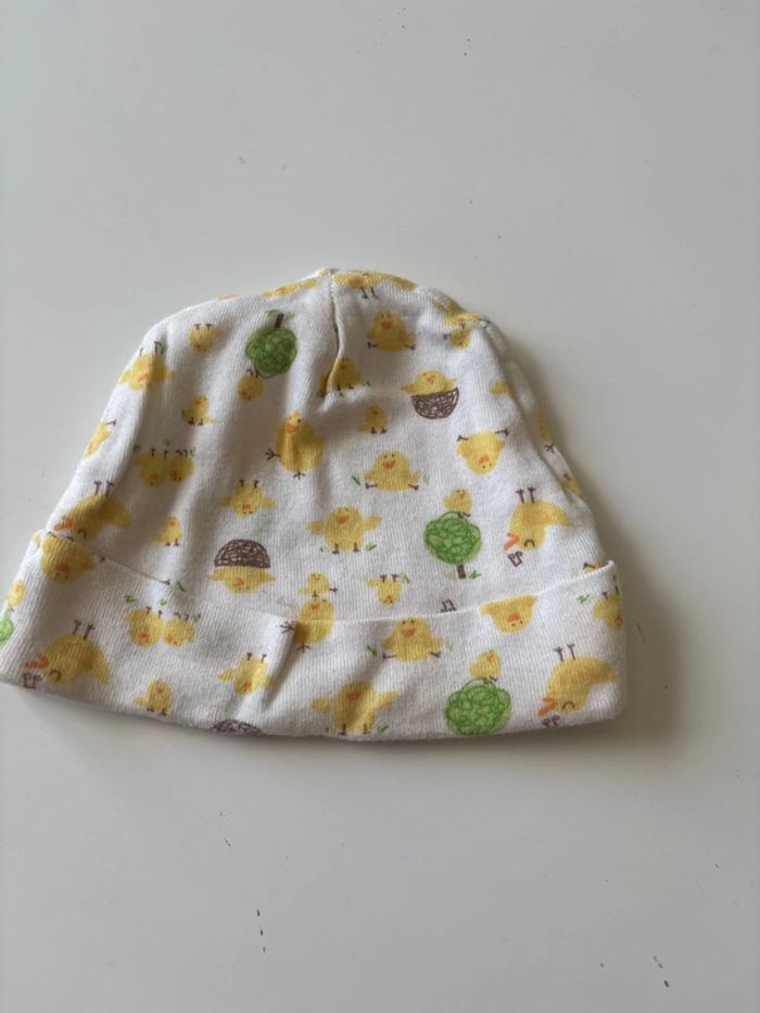 Bonnet - photo numéro 3