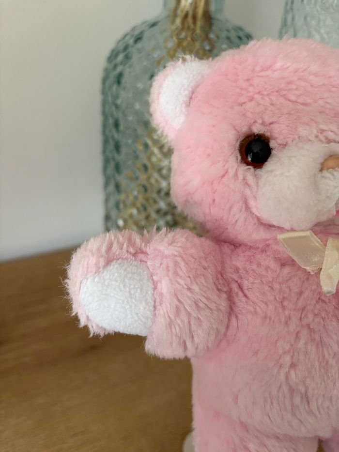 Ours Boulgom - photo numéro 4