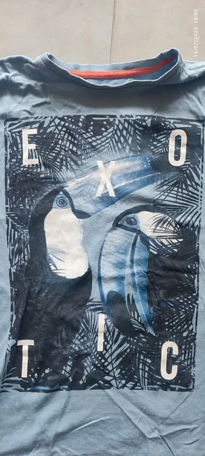 T shirt perroquet garçon exotic 12 ans - photo numéro 2