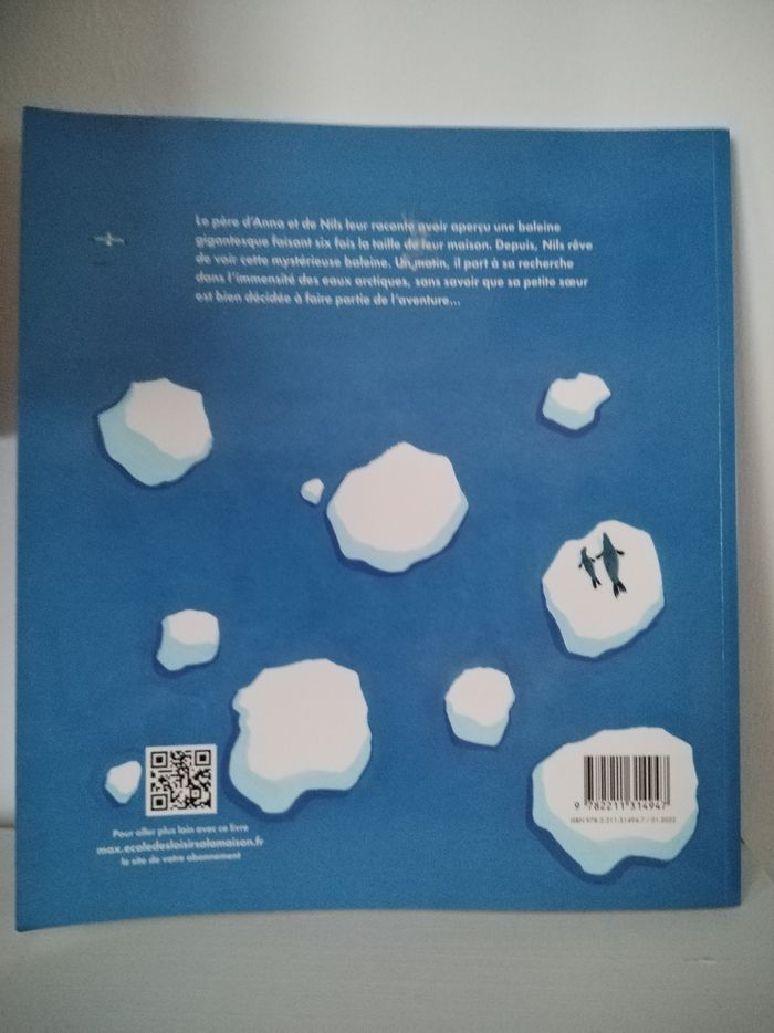 Livre : La mystérieuse baleine - photo numéro 2