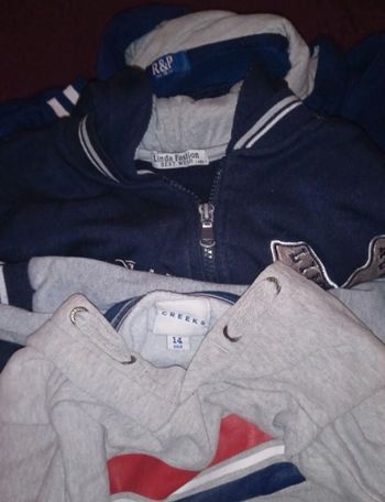 Lot 2 sweat à capuche et 1 gilet