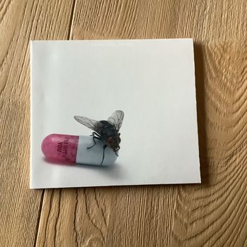 Red Hot Chili Peppers I M With you cd