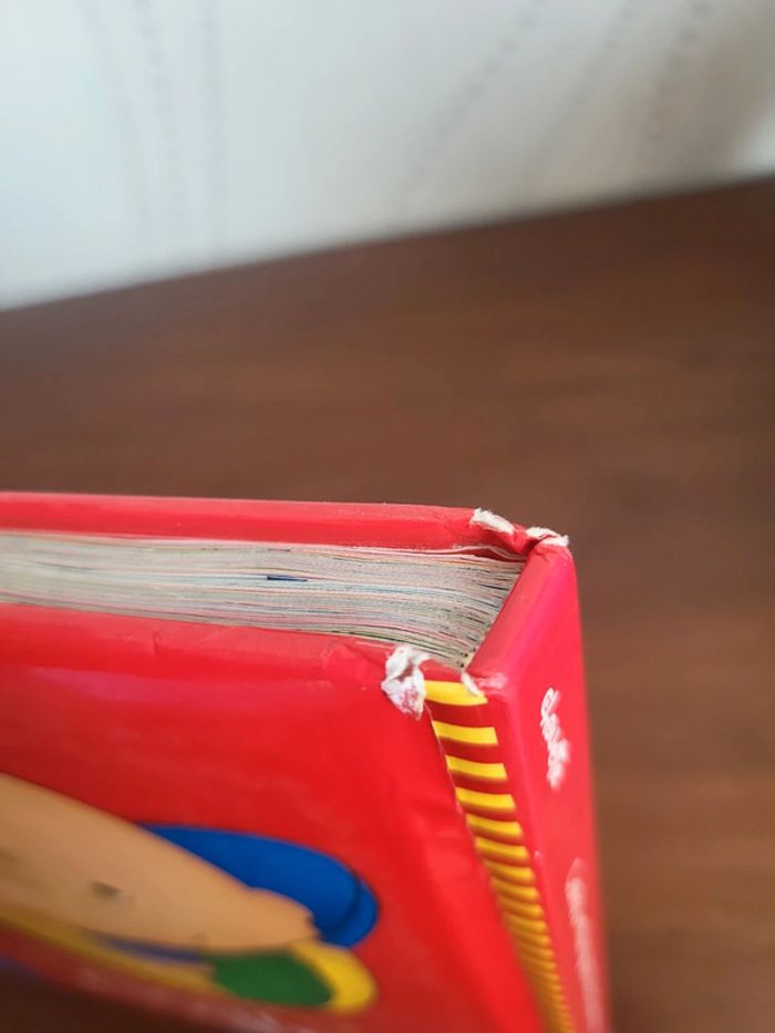 Livre caillou - photo numéro 5