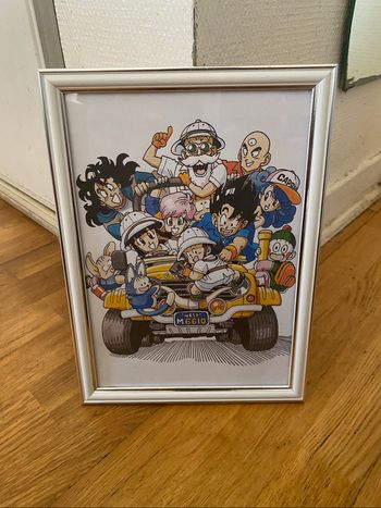 Cadre dragon ball