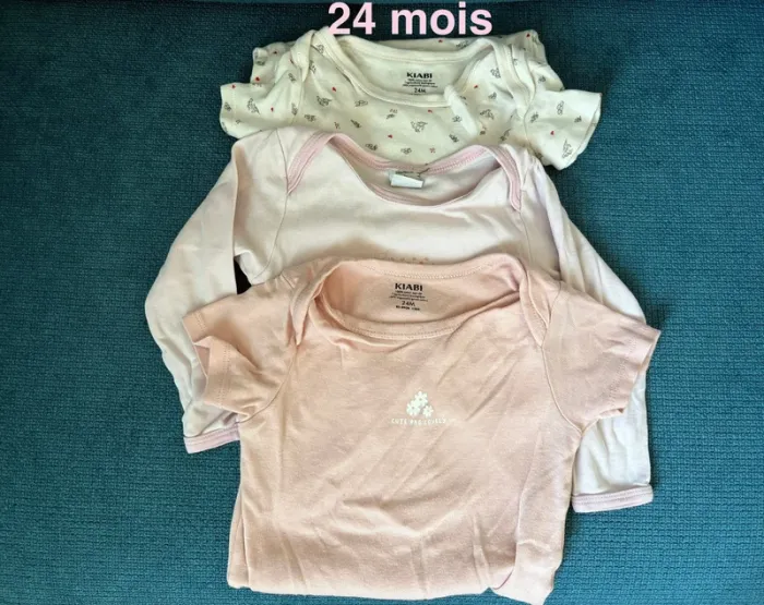 Lot 3 bodies