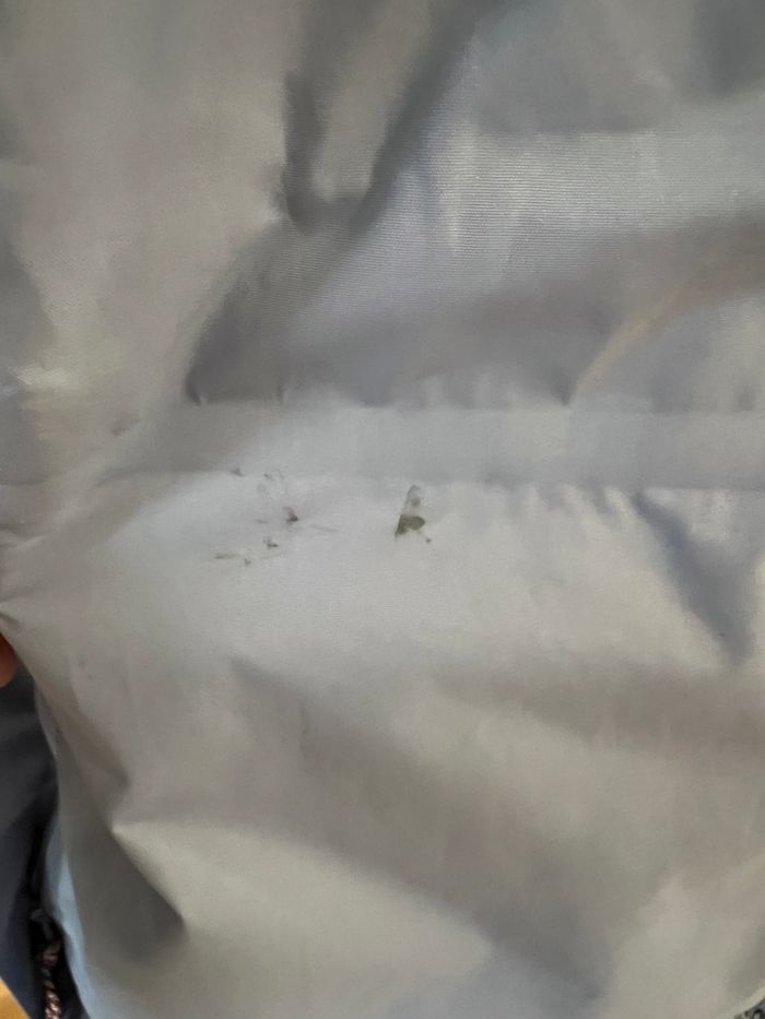 Coupe vent et pluie - photo numéro 9