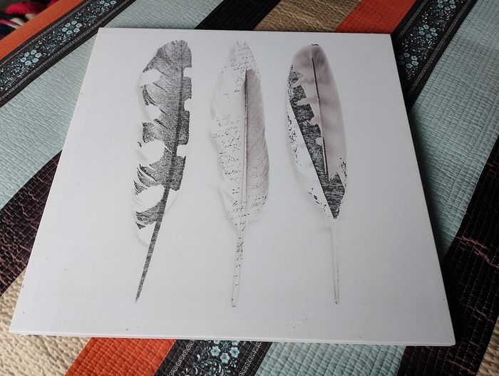 Toile motif plumes - photo numéro 2