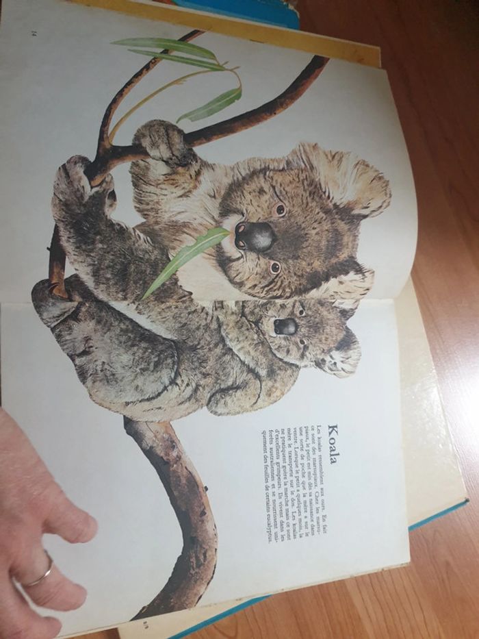 Lot de livres - photo numéro 7