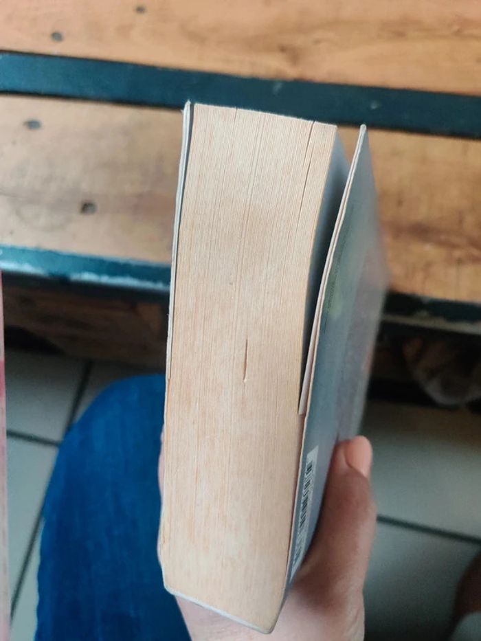 Orkhidos de Stéphane Héaume - photo numéro 7