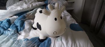 Ballon sauteur vache