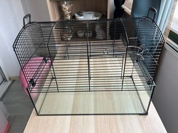 Cage hamster
