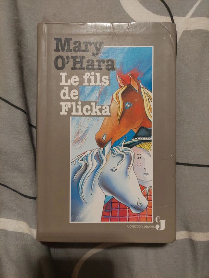 Livre enfants