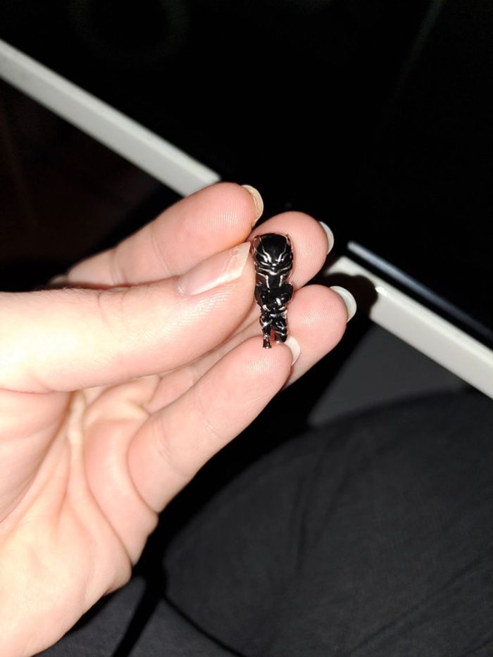 Accessoire - photo numéro 7