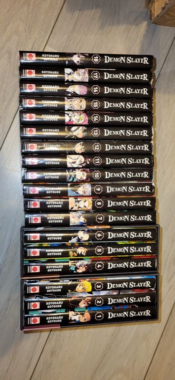 Demon slayer 1 à  18