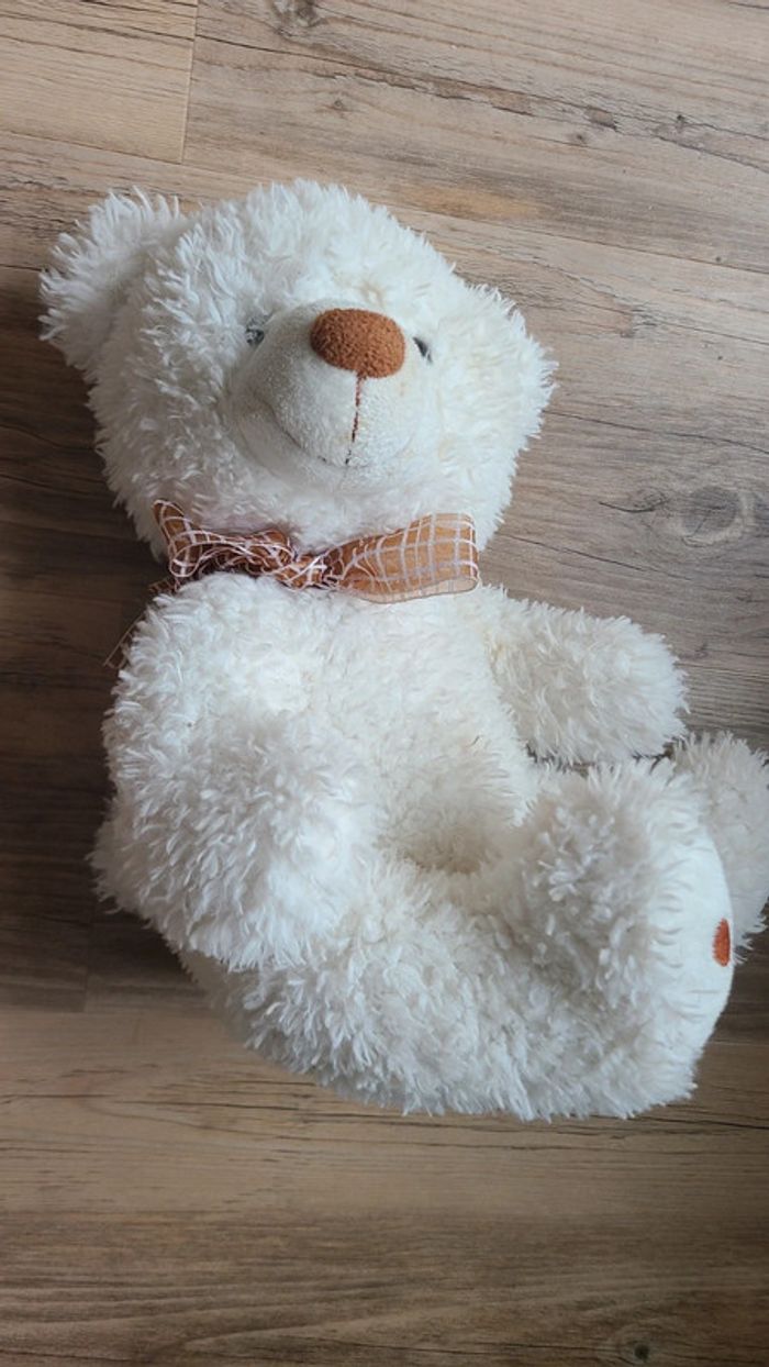 Ours en peluche - photo numéro 2