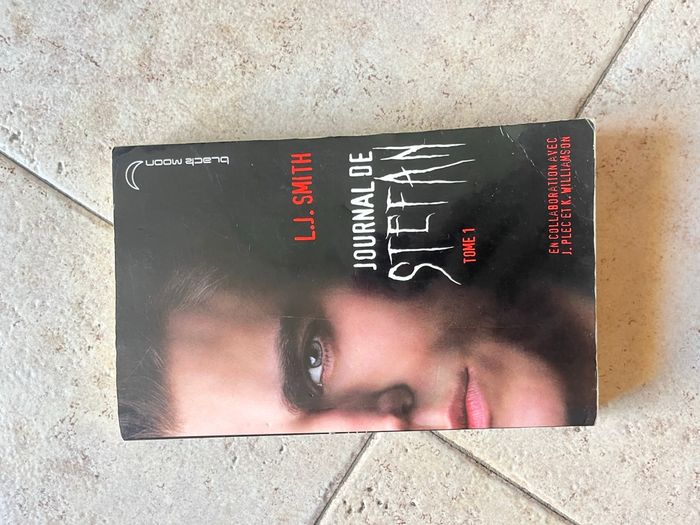 Lots de livre Vampire diaries - photo numéro 2